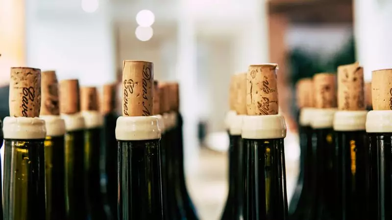 Lei da rolha no Rio: nova regra é criticada por lacunas e falta de clareza