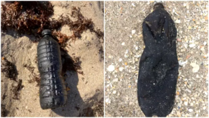 Óleo do Nordeste viajou 8.500 km e chegou à Flórida, revela pesquisa da UFC