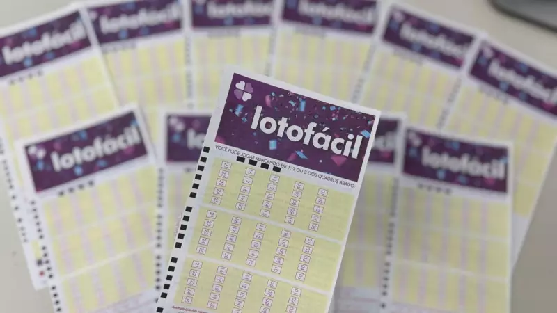 Lotofácil 3595: Aposta de Curitiba fatura R$ 405 mil; veja números sorteados
