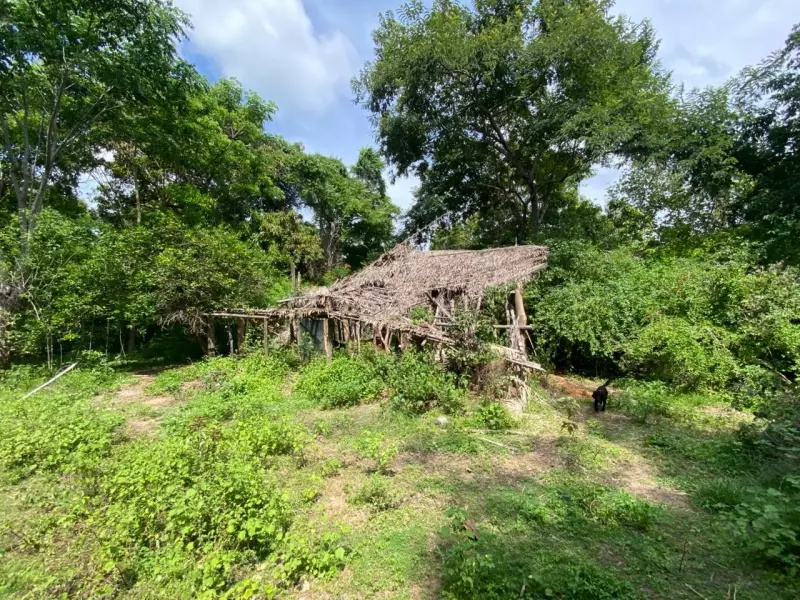 Marinha amplia buscas no rio Mearim por crianças desaparecidas há 18 dias no Maranhão