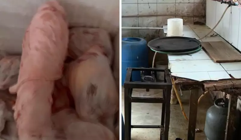 Matadouro clandestino em Hortolândia tem 4 toneladas de carne apreendidas e 3 presos