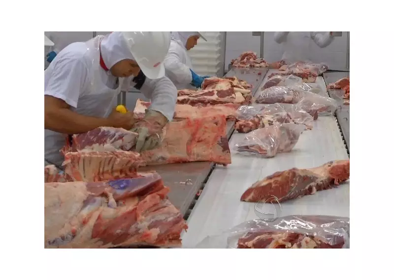 Mato Grosso tem 12 cidades entre os 100 maiores exportadores do Brasil em 2025