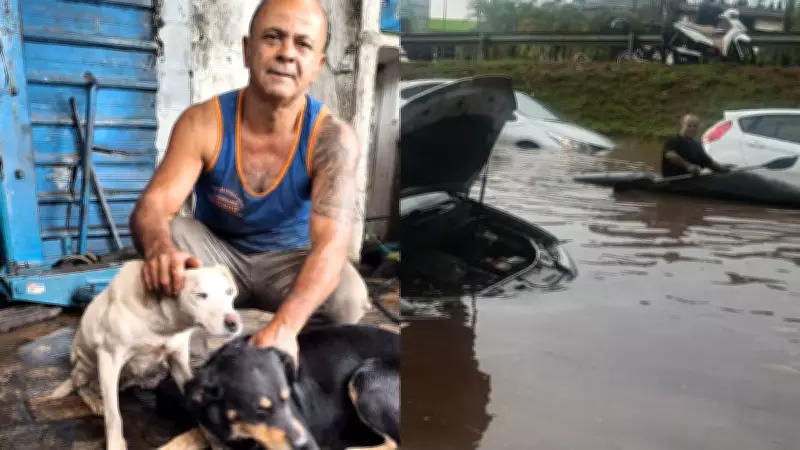 Mecânico usa caiaque para resgatar cachorros durante enchente em Suzano, SP
