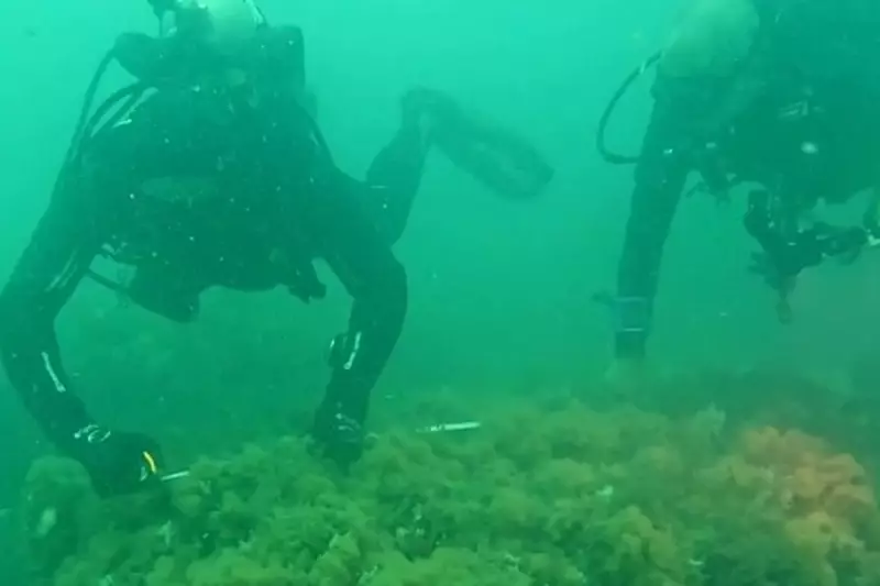 Mergulhadores localizam navio Tutoya, naufragado na Segunda Guerra no litoral de São Paulo