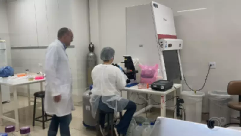 Mirassol (SP) é selecionada para projeto-piloto de vacinação contra chikungunya