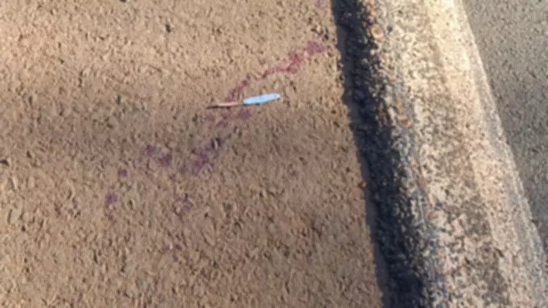 Motorista de aplicativo é esfaqueado 12 vezes por adolescentes após corrida em Nhandeara (SP)