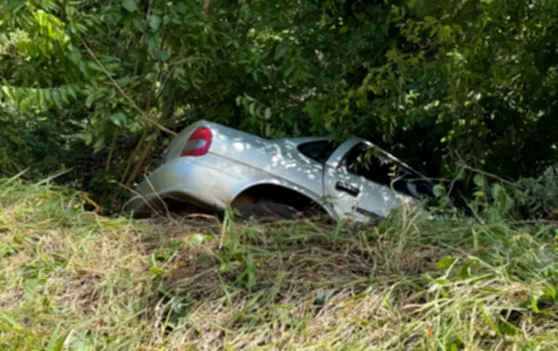 Motorista sobrevive após desviar de cachorro e carro cair em ribanceira na SP-287
