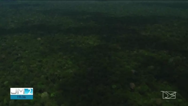 MPF recomenda envio da Força Nacional para Terra Indígena no Maranhão devido a violência