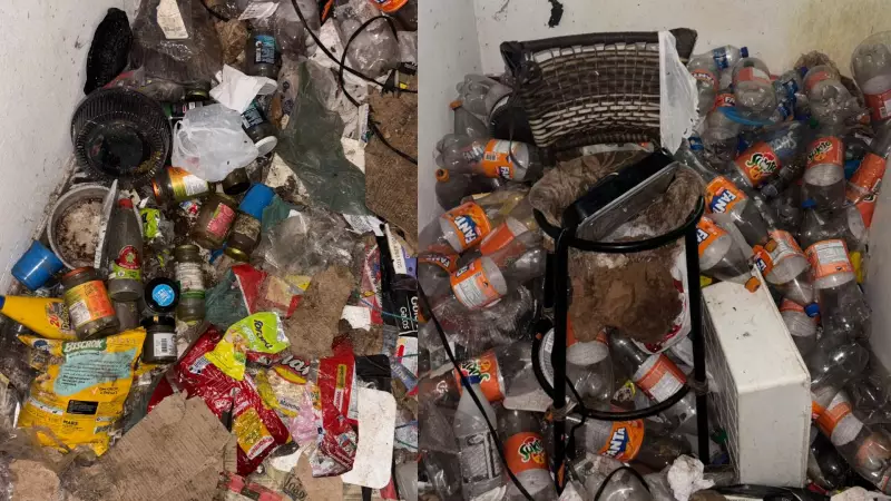 Mulher é presa por maus-tratos a 23 animais em casa degradante em Itapetininga