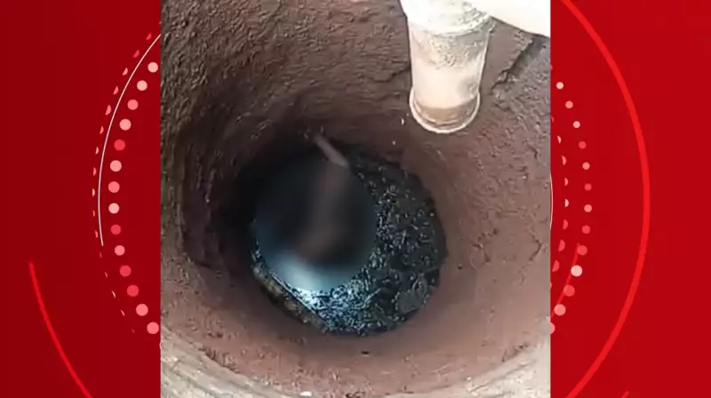 Mulher cai em fossa de 4 metros ao colher limões em Marialva