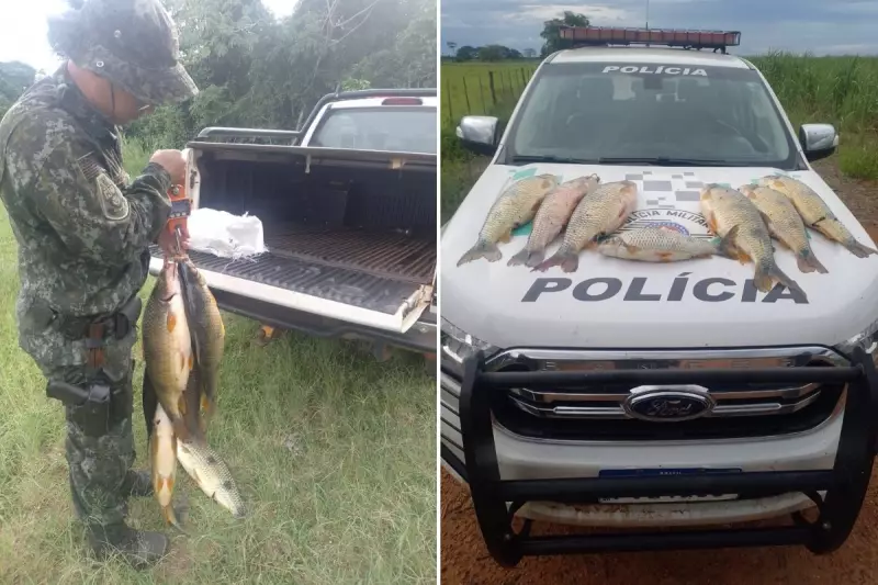 Multa de R$ 1,5 mil por pesca ilegal de piapara e piauçu durante Piracema em SP