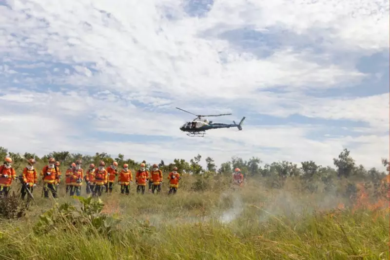 Multas por queimadas em MT superam R$ 360 milhões em 2025