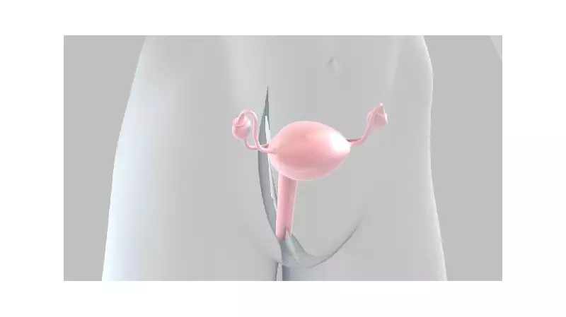 Nova terapia para câncer de ovário aprovada no Brasil traz esperança após 10 anos