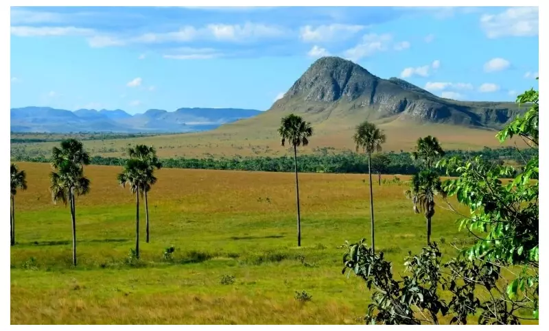 ONG de SP pode captar R$ 10 milhões via Lei Rouanet para projeto na Chapada dos Veadeiros