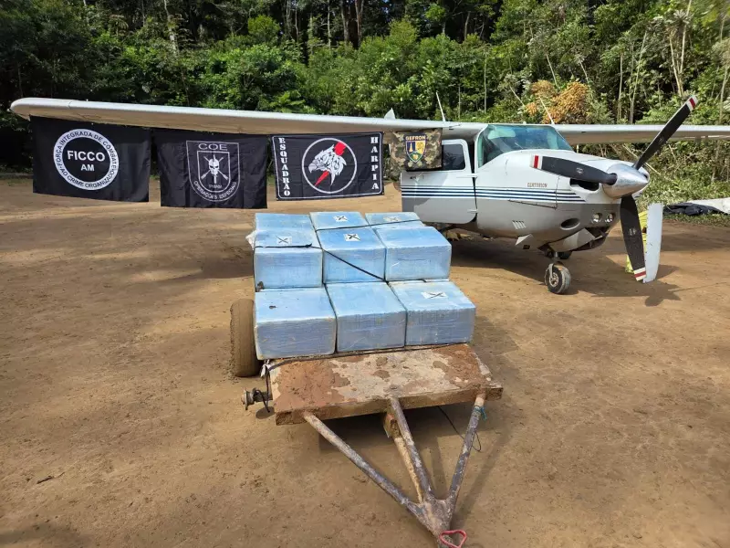 Operação no Amazonas apreende meia tonelada de cocaína e armas em pista clandestina