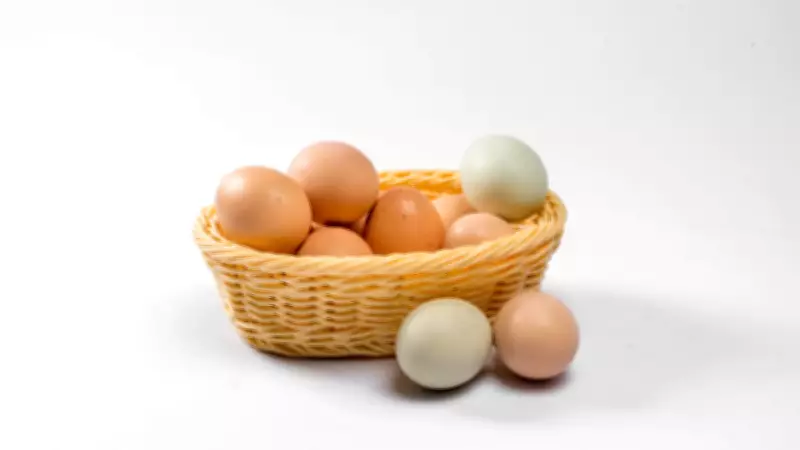 Ovos Vencidos Podem Ser Seguros? Especialista Revela Verdade Sobre Validade
