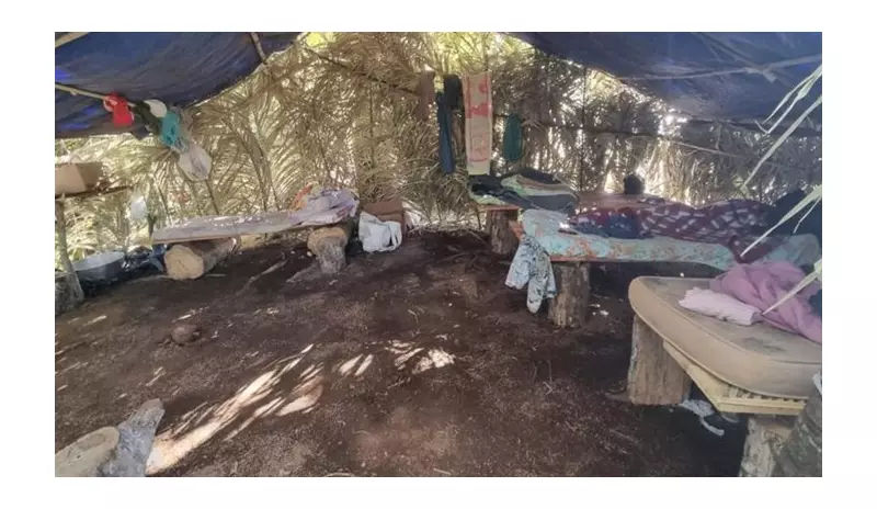 Paraíba registra aumento de 386% em resgates de trabalho análogo à escravidão em 2025