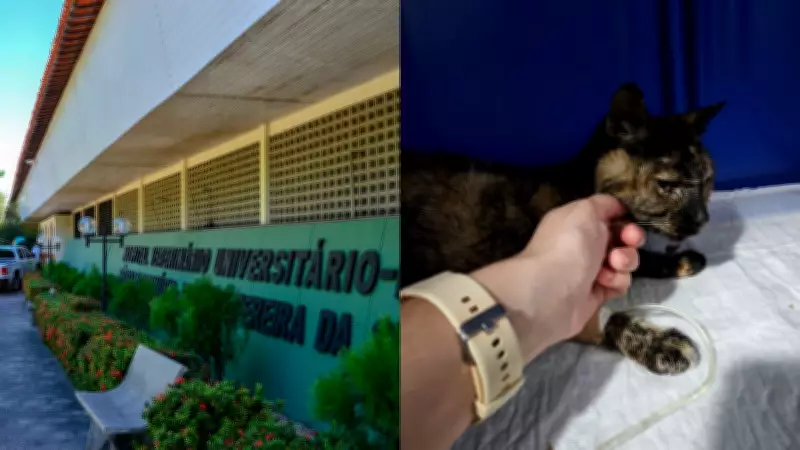 Paralisação de terceirizados suspende atendimento no Hospital Veterinário da UFPI em Teresina