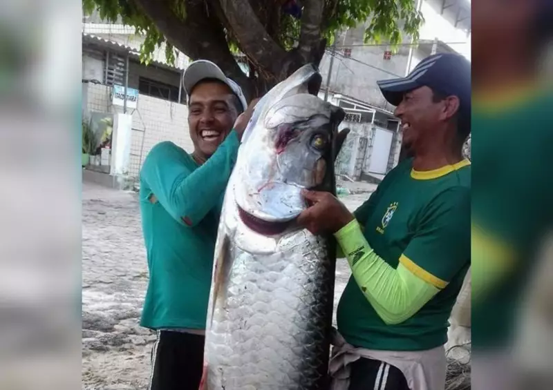 Pescador captura camurupim gigante de 2 metros e 70 kg em Bayeux, Paraíba