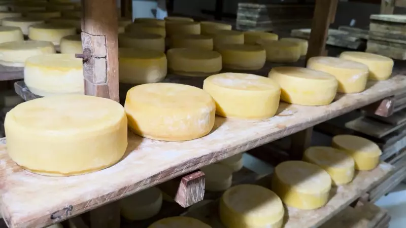 Plataforma "É do Campo" da Emater impulsiona vendas diretas da agricultura familiar em MG