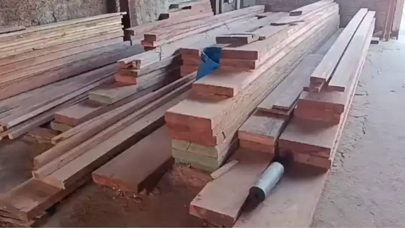 Polícia Ambiental aplica R$ 384 mil em multas por irregularidades na venda de madeira em SP