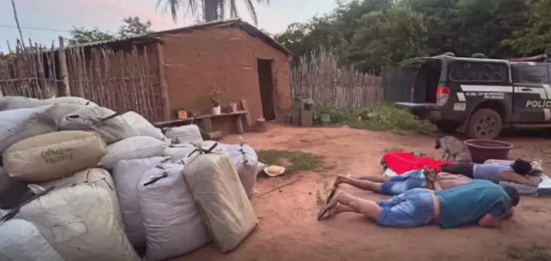 Polícia Civil apreende quase 2 toneladas de maconha e prende três em Grajaú