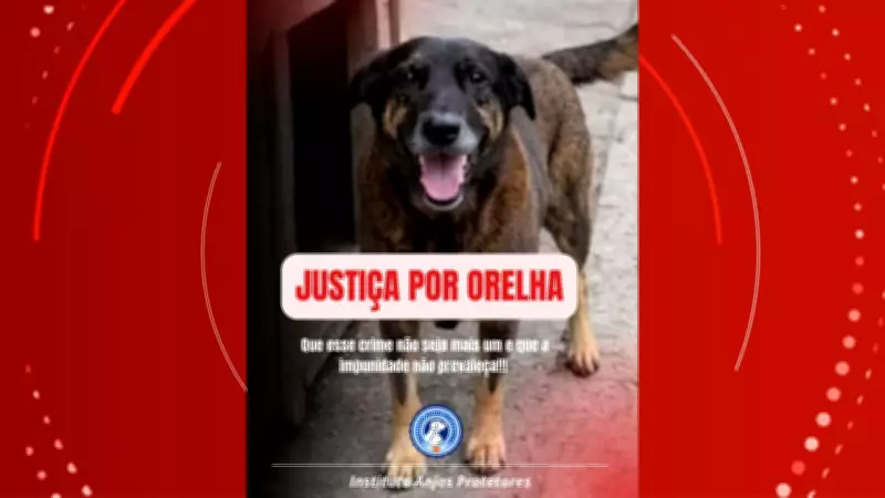 Polícia indicia três por coação em caso de morte de cão Orelha em SC; ONGs do Amapá aderem à campanha