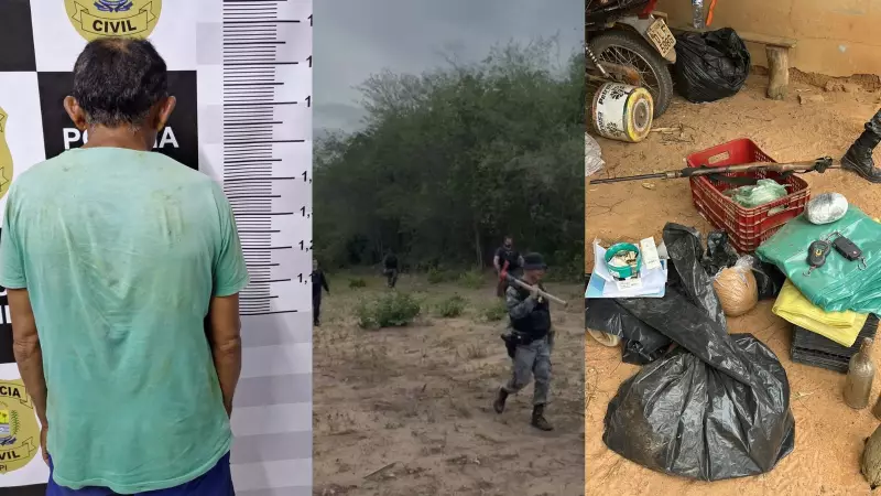 Policiais encontram plantação de maconha com sistema de irrigação e prendem homem em Pajeú do Piauí