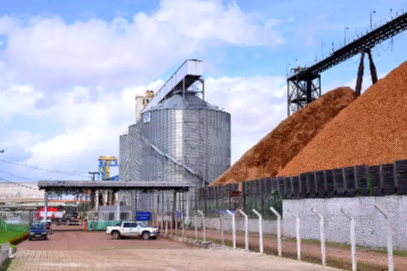 Porto de Santana bate recorde com aumento de 34% na exportação de grãos em 2025