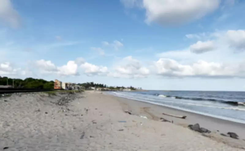 Praia Del Chifre em Olinda concentra todos os ataques de tubarão da cidade
