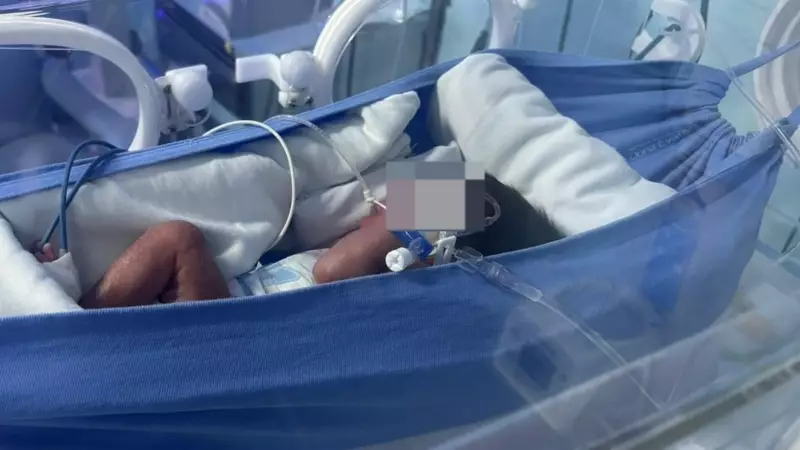 Redinhas para bebês prematuros promovem conforto e desenvolvimento em maternidade do Piauí