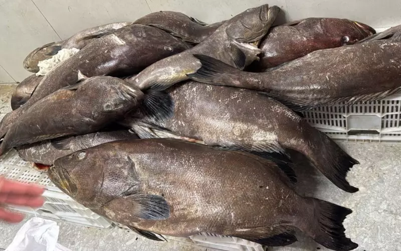 Restaurante na praia do Bessa é interditado por irregularidades sanitárias graves