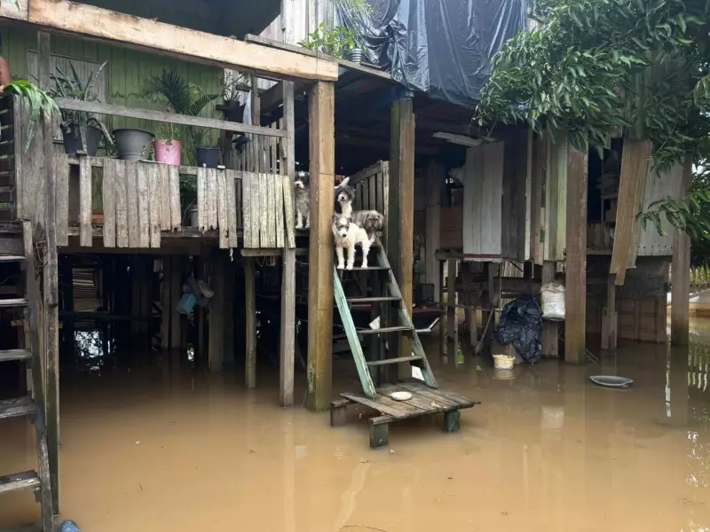 Rio Acre se aproxima dos 15 metros em Rio Branco, com mais de 2 mil afetados