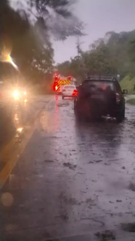 Árvore cai sobre carro e interdita trecho da SP-050 em São José dos Campos
