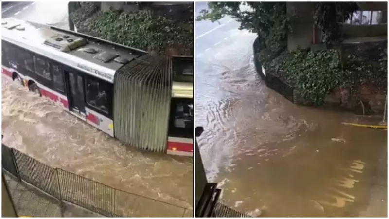 Árvore gigante cai e causa caos na Zona Sul de SP durante temporal intenso