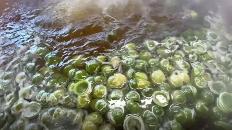 Sabores do Campo ensina doce de casca de limão em tacho de cobre