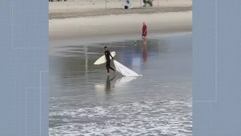 Sacos de contenção de erosão aparecem em praias do Paraná após ressaca