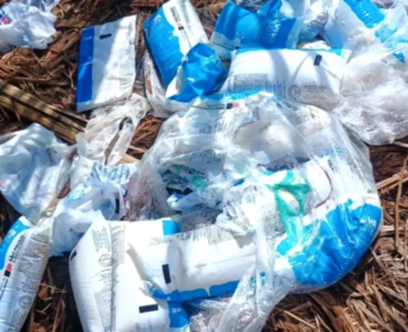 Sacos de leite vencido de programa estadual são achados descartados em canavial de Tambaú