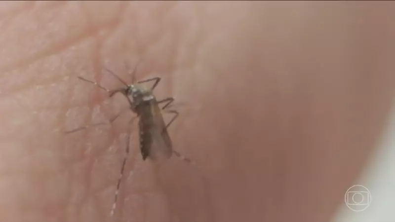 Santos mapeia focos de dengue para reduzir casos em 2025