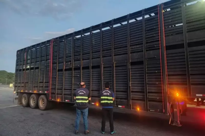 Sefa apreende R$ 1,3 milhão em cargas irregulares de gado, cerveja e pneus no Pará