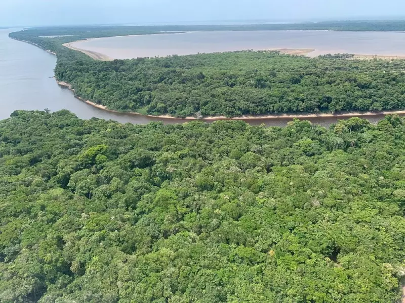 Senado vota hoje projeto que simplifica licenciamento ambiental e preocupa especialistas
