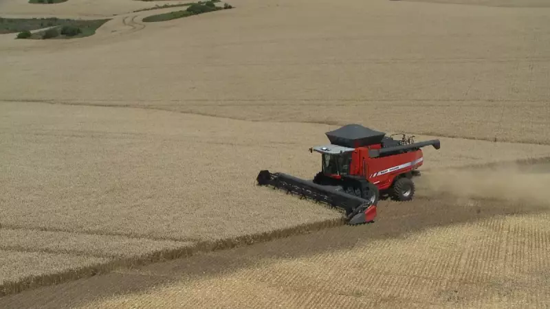 Setor de máquinas agrícolas tem baixa em 2026 após crescimento de 8% em 2025