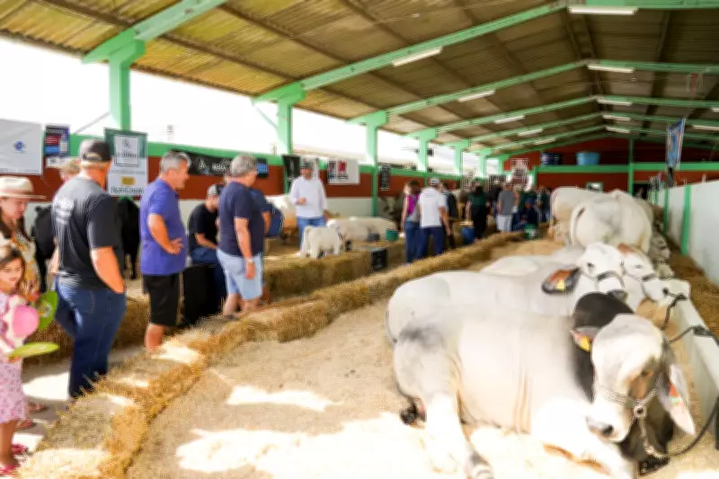 Show Tecnológico Copercampos chega à 30ª edição em 2026 com projeção de R$ 350 milhões em negócios