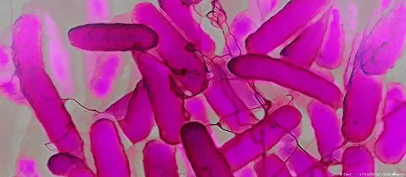 Síndrome da Autocervejaria: intestino produz álcool e desafia diagnósticos