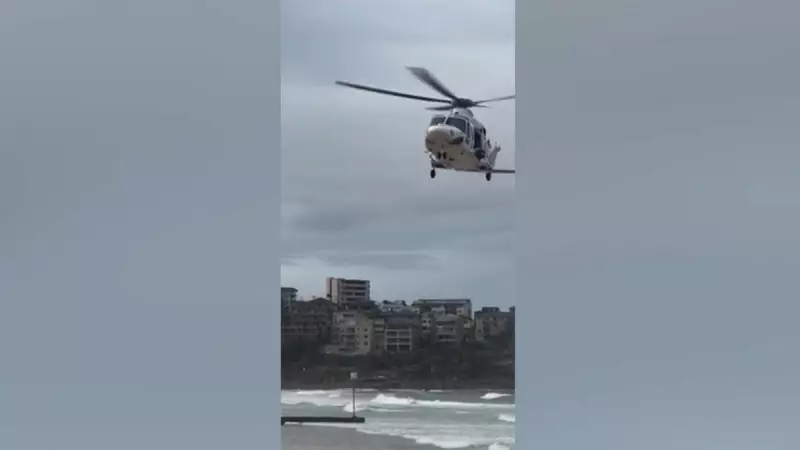 Surfista sofre ataque de tubarão em Sydney; terceiro incidente em dois dias