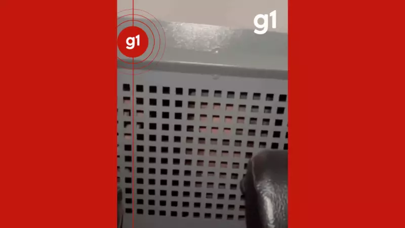 Suspeito de violência doméstica canta serenata para policiais durante prisão em MT