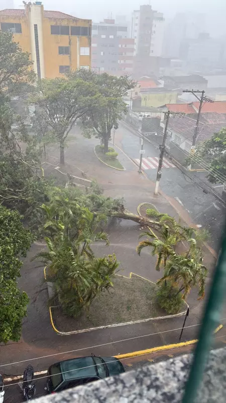 Temporal com ventania e granizo causa estragos e queda de energia em Pará de Minas