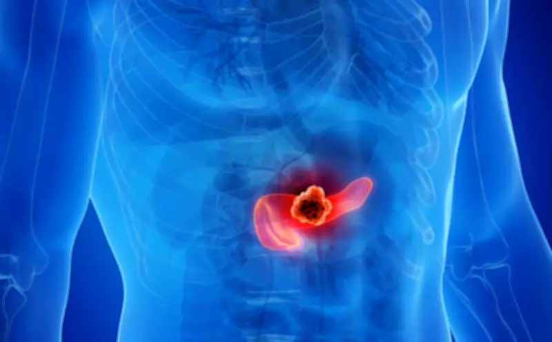 Terapia espanhola elimina tumores de pâncreas em testes com camundongos