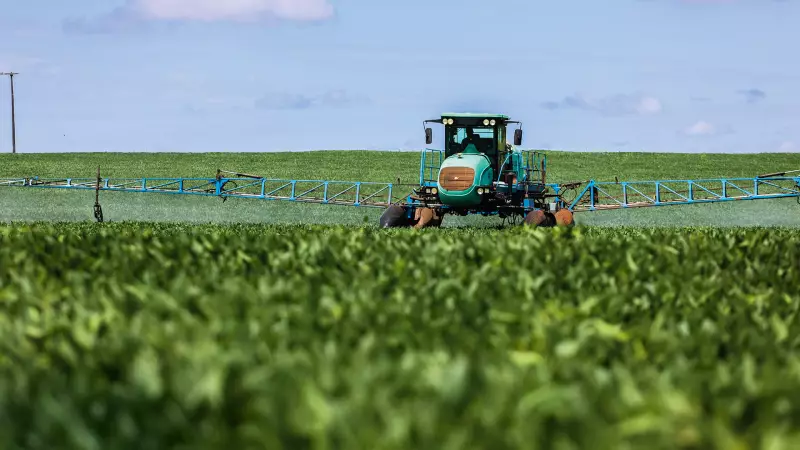 Terra Santa: terras valem R$ 2,8 bi em 2025, alta leve influenciada pela soja