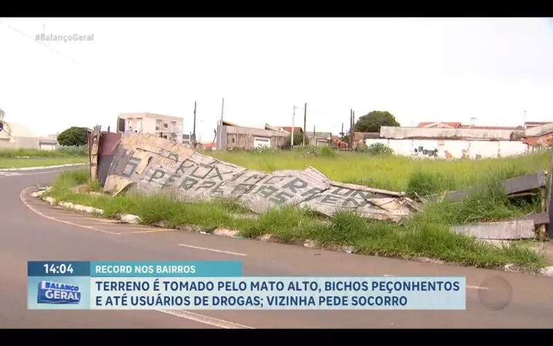 Terreno abandonado em Franca vira foco de animais peçonhentos e drogas